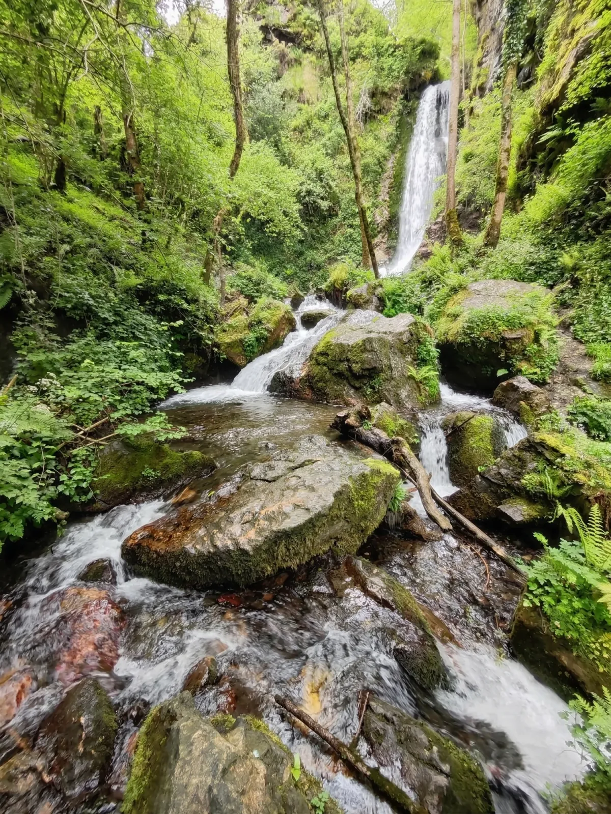Cascade en forêt dans les paysages pyrénéens autour de Bagnères-de-Bigorre